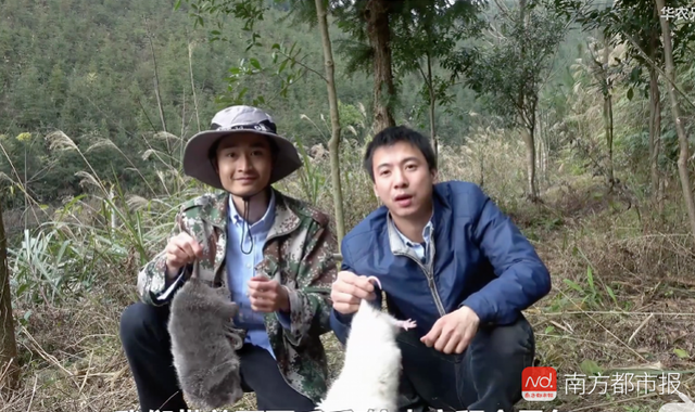 “花样吃鼠”华农兄弟年夜饭打算做竹鼠炖汤！今年想扩大养殖规模