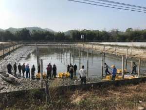 广东省甲鱼养殖基地(视频揭秘：冬眠被吵醒，暴躁甲鱼如何“出山”上餐桌？)