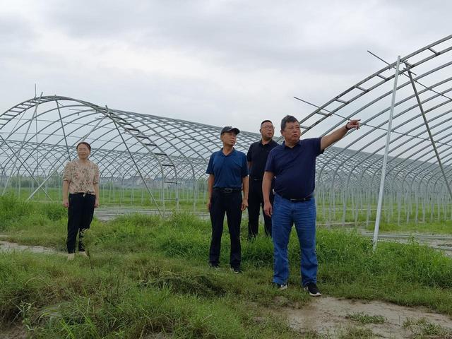 如东县栟茶镇人大凝神聚力推进乡村振兴：让低凹地变“聚宝盆”