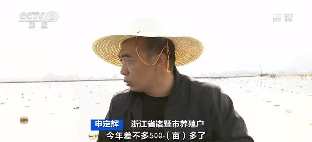 一天5000单，浙江老板直播卖它爆火！价格年年涨，产量年年降，什么情况？