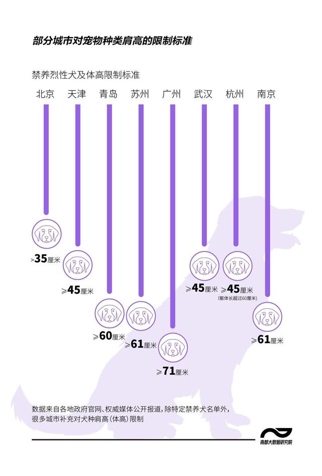 15城禁养犬政策揭秘！惊人差异一览无遗！