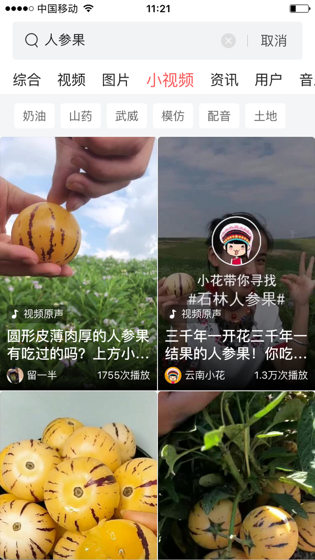 人参果的种植方法，掌握这些技术，您也可以种出优质高产的人参果