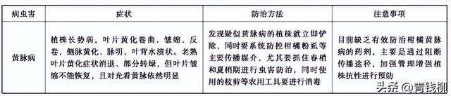 香水柠檬绿色种植技术