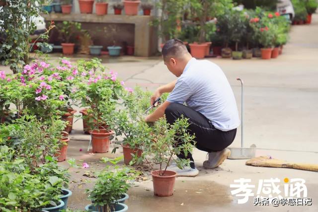 下一站，孝感花鸟文化市场