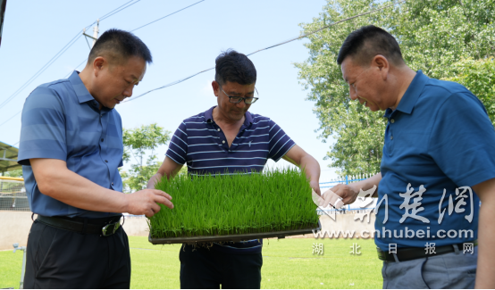 实干拼出精彩 宜城连续十年跻身全省县域经济先进行列