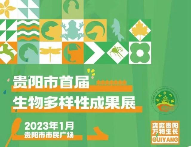 【贯彻二十大 推动强省会·加快绿色经济发展】爽爽贵阳 万物生长——贵阳市首届生物多样性成果展今日展出