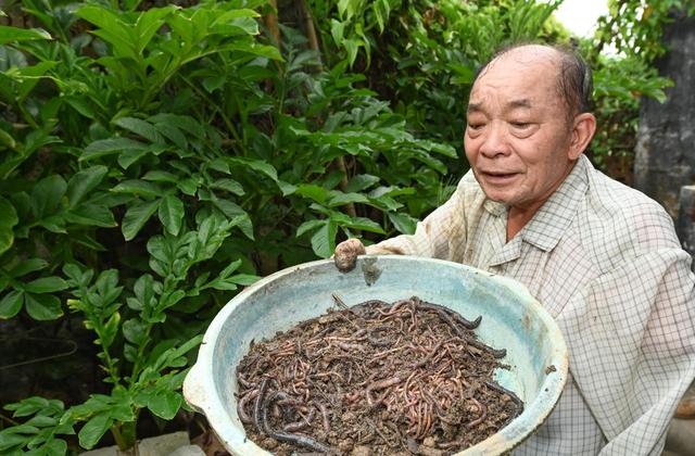 小小蚯蚓“有钱途”撂荒地上“土生金”