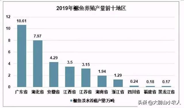 四大名鱼≠四大家鱼，一字之差天壤之别，如今现状令人唏嘘