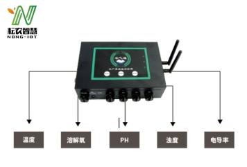 如何利用现代技术改进水产养殖：追求更高的效率和可持续发展