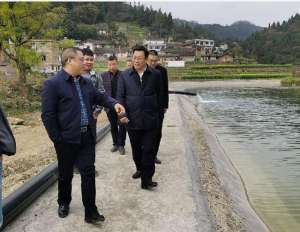 四川冷水鱼养殖(长江沱江赤水河全面禁渔 四川古蔺大力发展高山生态冷水鱼养殖 填补市场空缺)