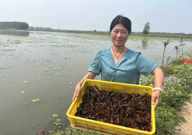 每天3000斤！阜南这里的小龙虾，火火火！