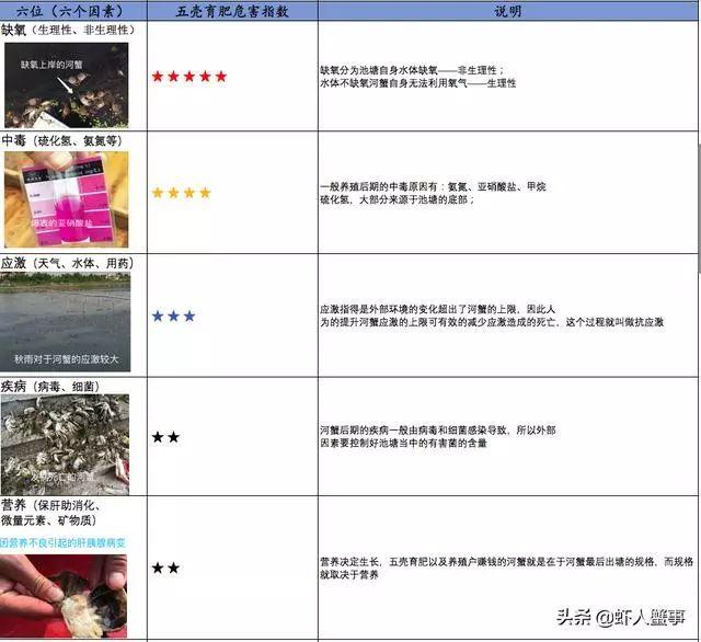 河蟹五壳损蟹，伤亡？啥原因？如何解决？一图告诉你