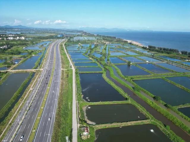 休闲海钓好去处！江城这个农业产业园解锁新“玩法”→