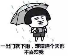 阜阳这场雨有多大？网友：大雁被砸下来了！后面还有几天雨