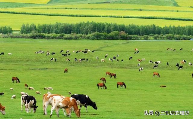 环境可持续性、科技进步、市场需求，养殖业未来发展的重要趋势