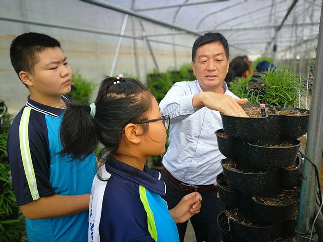 自建蔬菜大棚和动物园，汶上的这两所学校火了