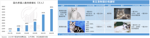 4000万猫奴，见证猫舍从狂热到崩塌