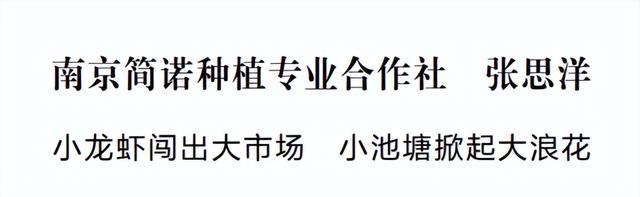 南京简诺种植专业合作社 张思洋：小龙虾闯出大市场 小池塘掀起大浪花