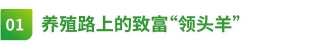 乡村新闻人谢岳成：开通全国首家水产“110”，培训虾农4万余人