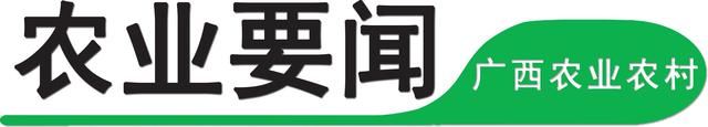 养30只鸭可供一家人用气一年 沼气建设成为农村人居环境整治的“主力军”