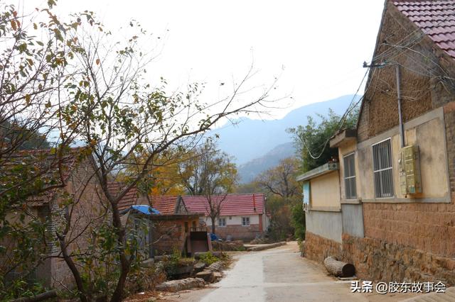 看图：海阳市盘石店镇一个小山村的实景，名叫“金银崮”