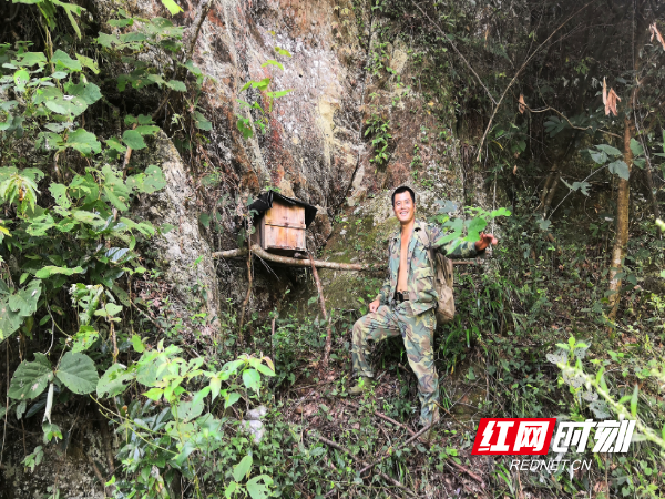 看山员：与自然为友，筑就“甜蜜”富生活