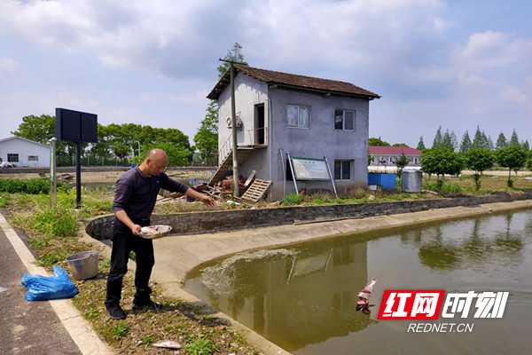 南县：因势利导壮大龟鳖产业 生态引领打响地理品牌