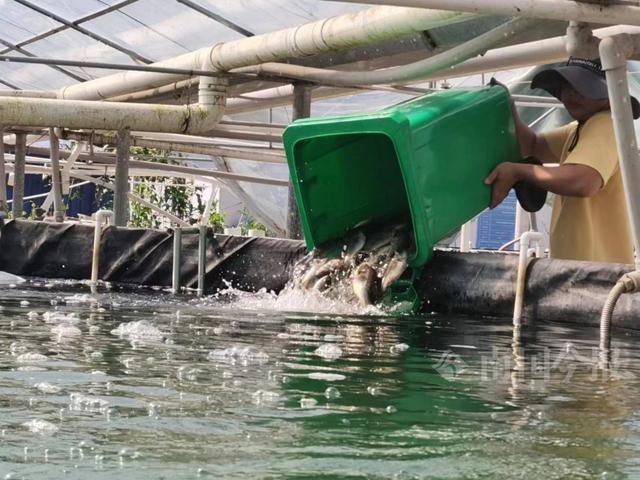 好消息！柳产高端“海鲜”“河鲜”陆续上市