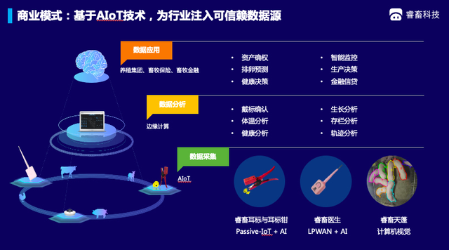 中国畜牧业当下的痛点与需求是什么？