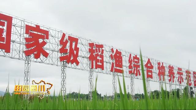 打造西部虾蟹之都——开江特色水产养殖之路