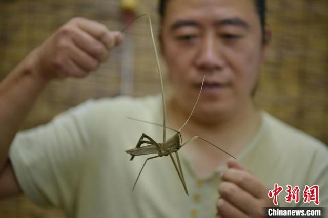 石家庄民间手艺人的草编技艺：叶秆的另一种姿态