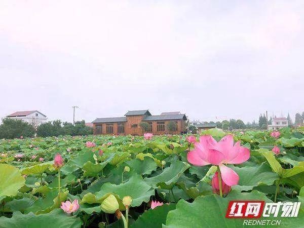 常德这个村美得惊艳全国！入选首批全国乡村旅游重点村，还发“福利包”