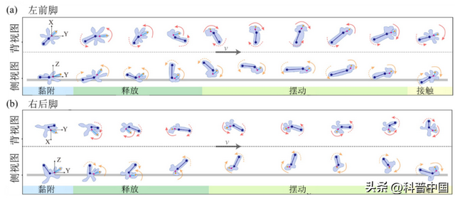 想实现飞檐走壁？你得有我这双脚