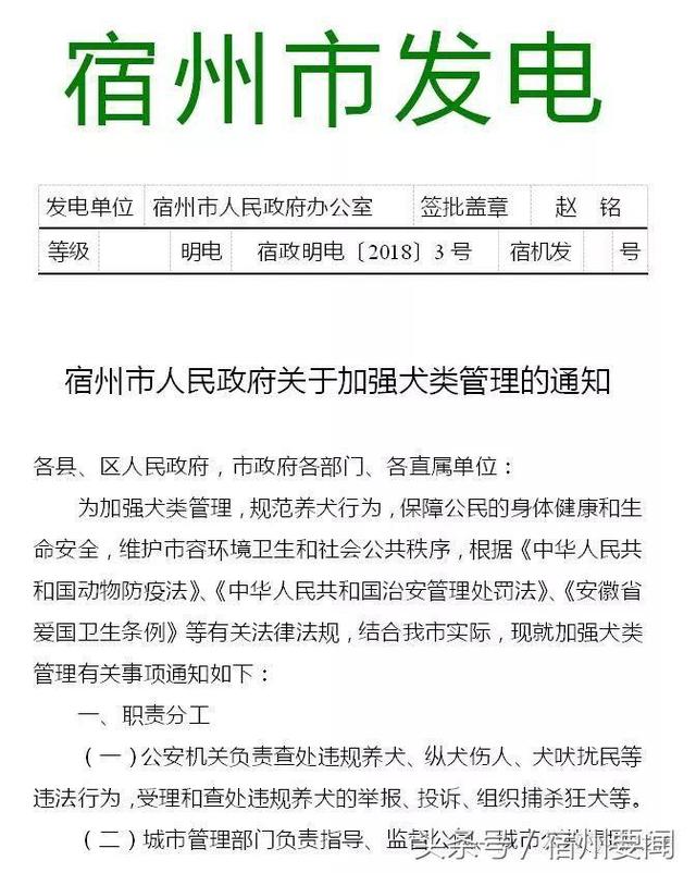 宿州犬类管理办法正式出台！主城区内，每户限养一只