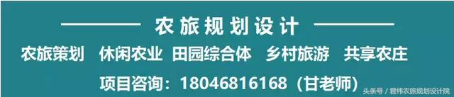 详述艾维：将在全国建立鱼菜共生“连锁农场”