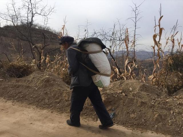 蛇真的能被驯化吗？老汉养2000条五步蛇，掰开蛇嘴喂食，年入千万