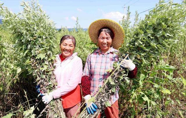 黄冈：共绘和美乡村美丽画卷