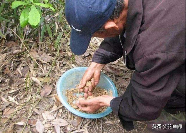 野钓最便宜的窝料，只加2种食物，诱来一条又一条大鲫鱼