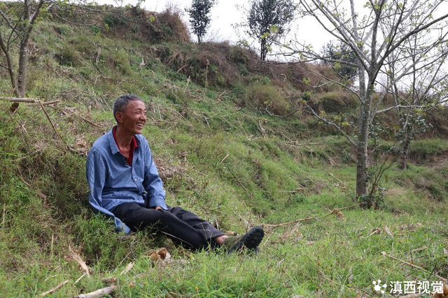 「作风革命 效能建设」芒棒老桥头：以“产业兴旺”为笔，谱写乡村全面振兴新篇章