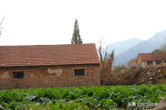 看图：海阳市盘石店镇一个小山村的实景，名叫“金银崮”