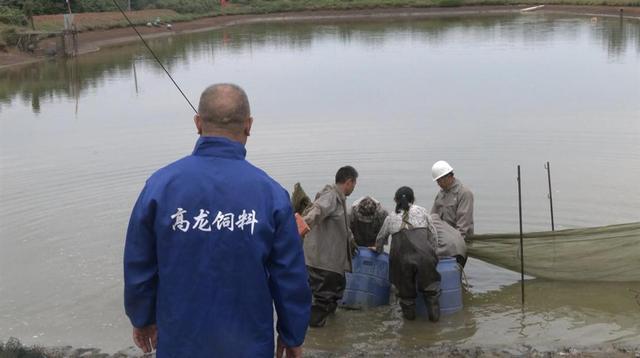 打造出数字化智能渔场，他让村民的腰包鼓起来了