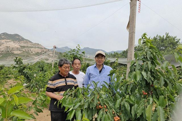 科技人才奔沂蒙：现代化农业的星辰大海