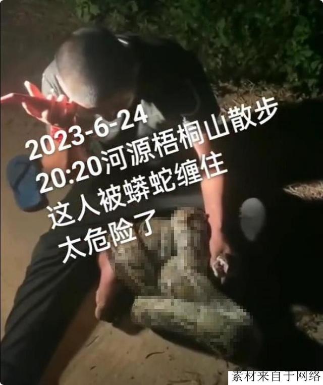 广东公园惊现巨蟒缠树，有人夜爬被蟒蛇袭击！哪来那么多大蟒蛇？