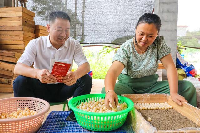 南丰：金融助力龟鳖产业孵出致富“金蛋”