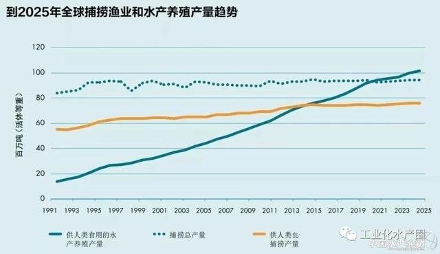 易管理、结合新技术，日本开始陆地养殖对虾