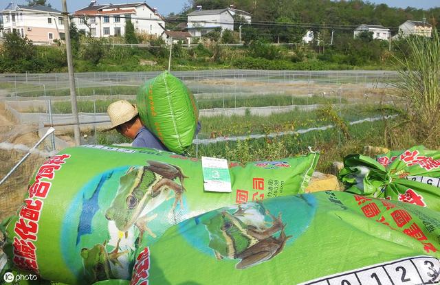 养殖青蛙在秋天也有很多讲究，正确投喂饲料可提高8%的养殖产量