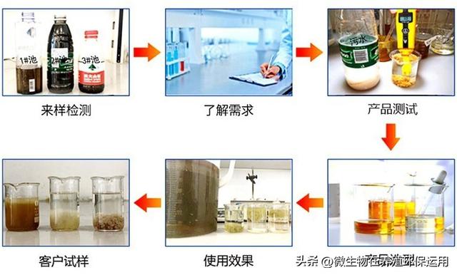 养殖废水流入到小沟渠中导致污染后用微生物技术的快速处理技术