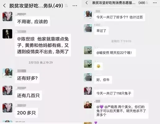 重庆：“巴渝网姐”助销团火热上线 全力帮扶促销