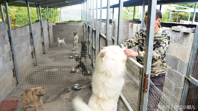 农民大哥把山当做宝，种养殖清一色原生态，大量客人纷纷来做客