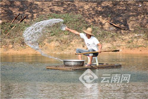 云南思茅：养殖高原生态虾 踏上幸福致富路